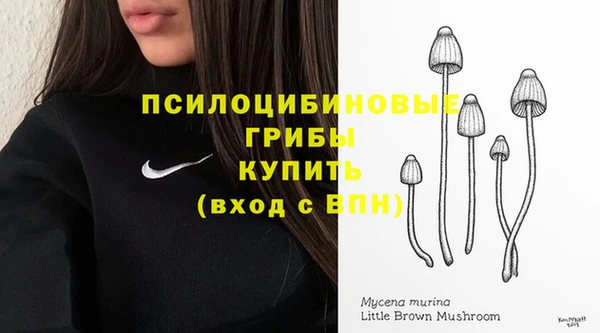 трава Дмитриев