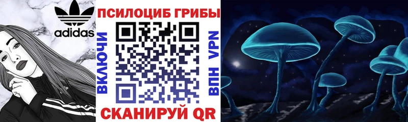 купить закладку  Назрань  Псилоцибиновые грибы MAGIC MUSHROOMS 